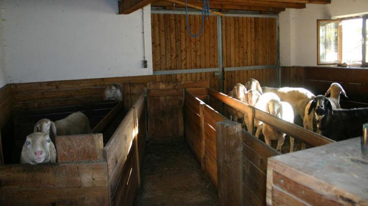 Michelas - Hof Umhausen Esterno foto